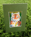 Tiger ACEO by Tassy