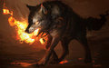 Heat by archwolf