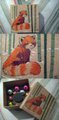 Feral Panda Box by Malachyte