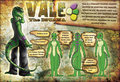 Vale the iguana