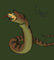 CorrieZodori IA #25 - VGV:  Gon and the Snake