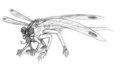 Insect-Lizard Gryphon by DarkenedHart