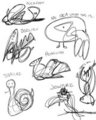 Scribble Animals