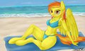 Beach Day by xanthor