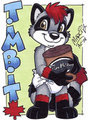 Timbit Raccoon Badge by Marci by Diaperfur