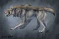 Canis Dirus by LostWolfSpirit