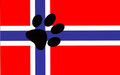 Norway furry flag by yuu