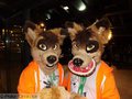 Dingo Twins! by RepoFox