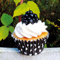 Vanilla & Blackberry Mini Cupcake by LuckyDucky