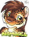Namarel Badge - AC2014 by Thermomewclear