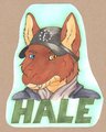 Hale Badge by Iarann